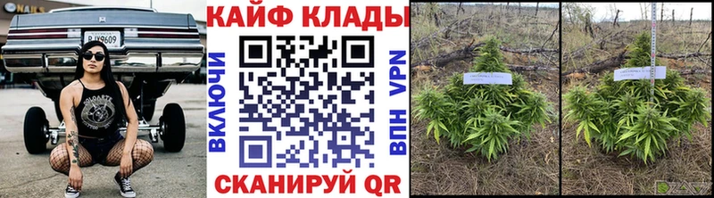 Купить наркотики сайты Сурск hydra зеркало  Псилоцибиновые грибы  A PVP  МЕФ  ГАШ  COCAIN  Канабис 