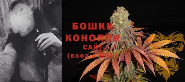 стафф Магадан